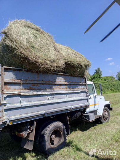 Сено 350 кг тюк
