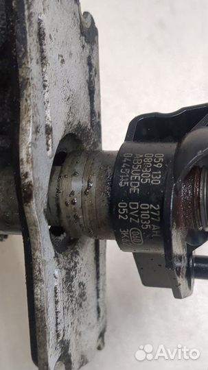 Форсунка топливная Audi A6 (C6) Allroad, 2006