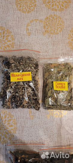 Красный корень(копеечник)