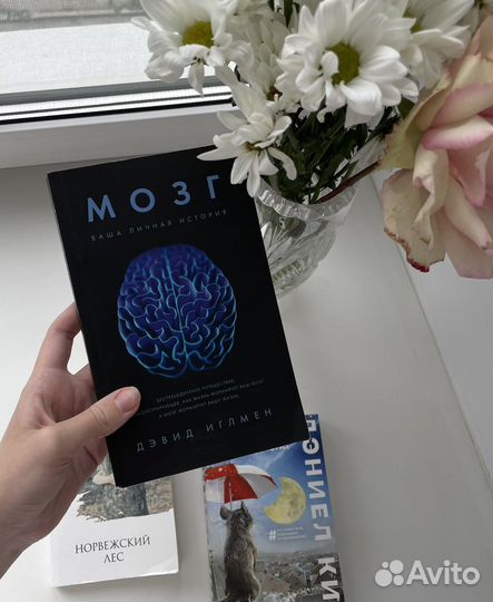 Книги. Цветы для элджернона; Норвежский лес; Мозг