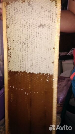 Мёд.Прополис