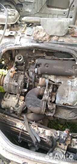 Бонго фрэнди