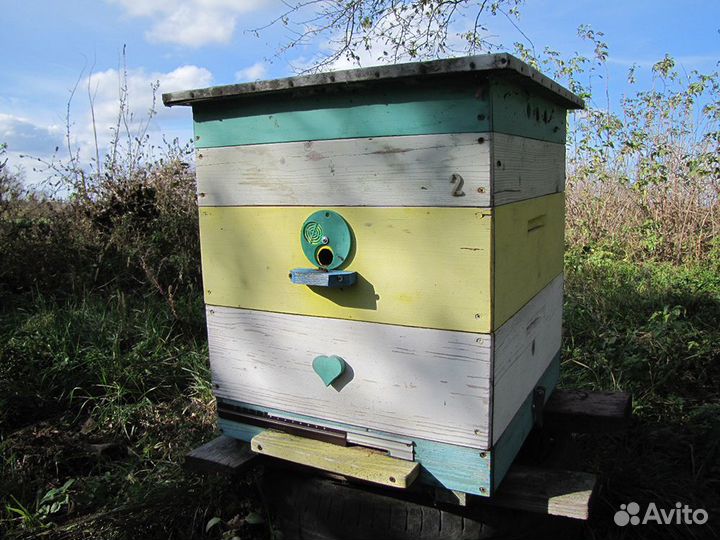 Пчелы, пчелосемьи с ульями дадан