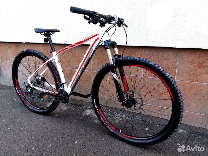 Specialized Rockhopper 29