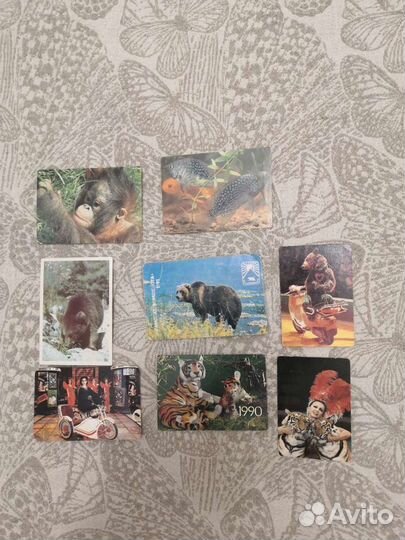 Календарики животные, кошки, собаки, медведь, цирк