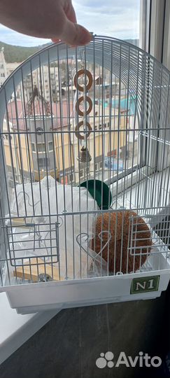 Клетка для попугая