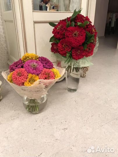 Букет на 1 Сентября из циннии