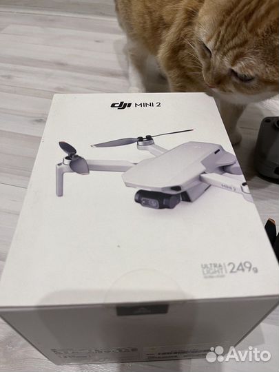 Квадрокоптер DJI Mini 2