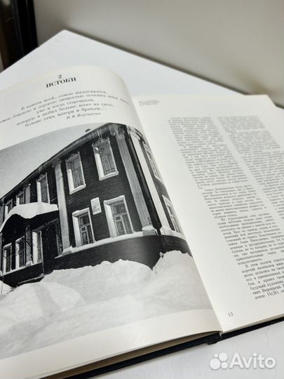 В. В. Верещагин (Лебедев Андрей)