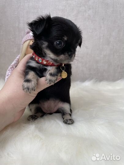 Невероятно красивая пуговка Миничка