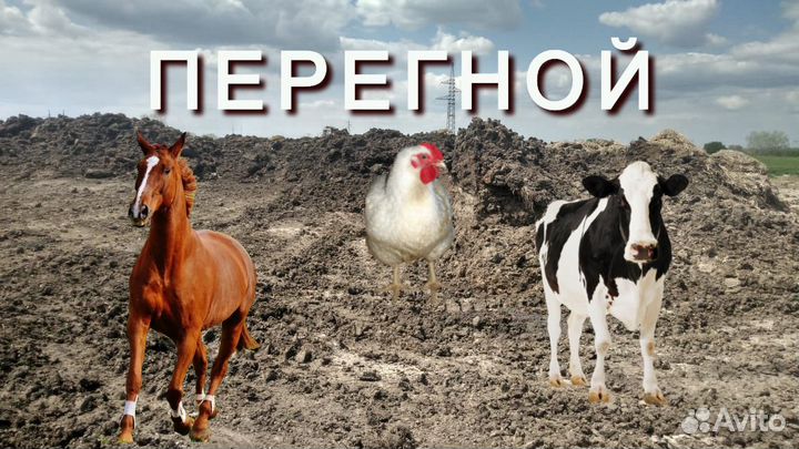 Перегной Коровий, сыпец. 3 - 10 лет. гост:2.4841