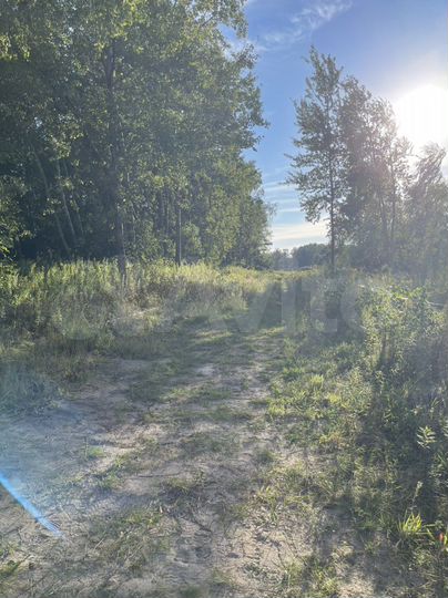 Участок 5,8 га (СНТ, ДНП)