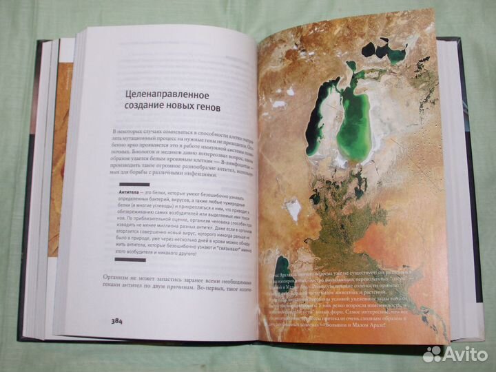 Рождение сложности. Александр Марков