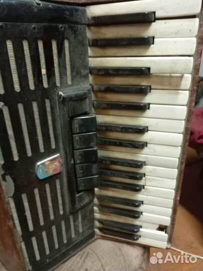 Аккордеон москва