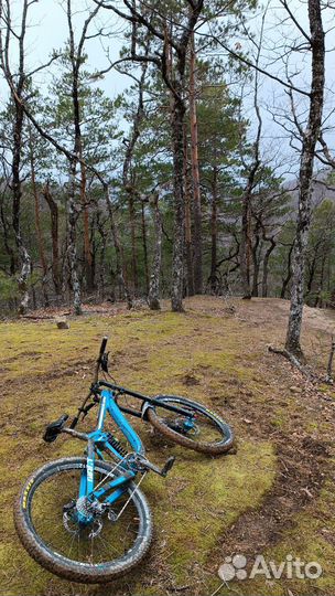 Велосипед Giant Glory Advansed 0 Carbon 2017