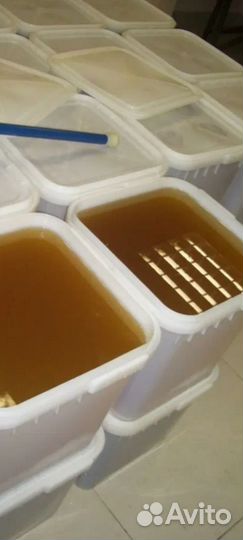 Липовый мед доставка по РФ от 15кг