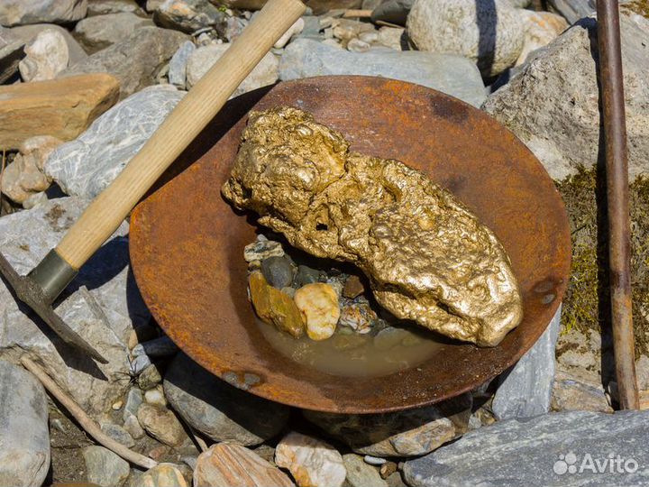 Экскурсия — Екатеринбург — В Березовский На родину