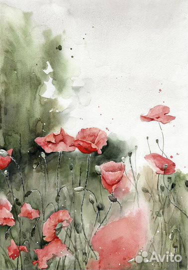 Картина цветы маки акварель 42 х 30 см