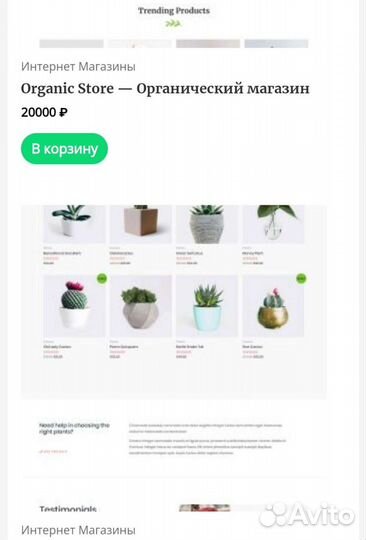Создание Любого Сайта Установка Windows