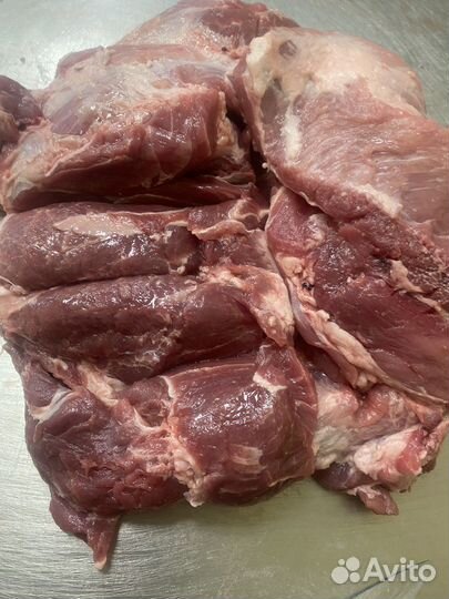 Мясо свинины