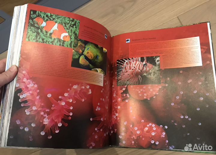 Самые красивые и знаменитые заповедники мира