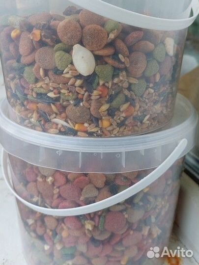 Комплексный корм для грызунов