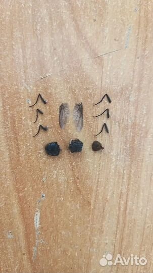 Продам муху на запчасти