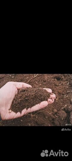 Конский навоз перегной в мешках с доставкой на дом