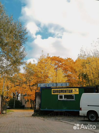 Автоэлектрик - Диагност