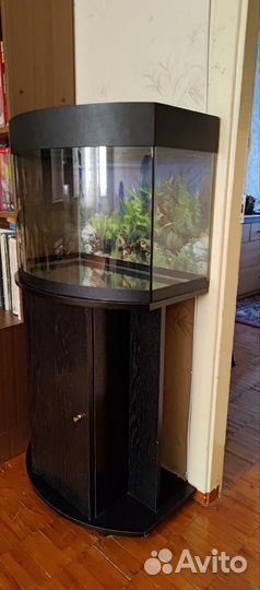 Аквариум 75 литров с тумбой