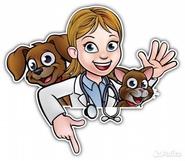 Ветеринар на дом