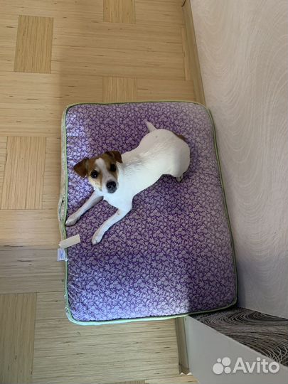 Лежанка для собак и кошек