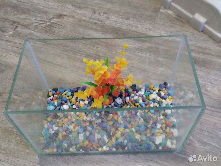Аквариум для маленьких рыбок