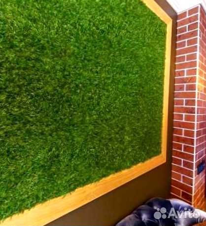 Рулонный газон, посевной газон