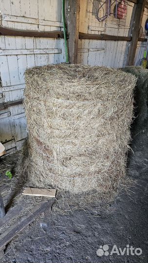 Сено в рулонах