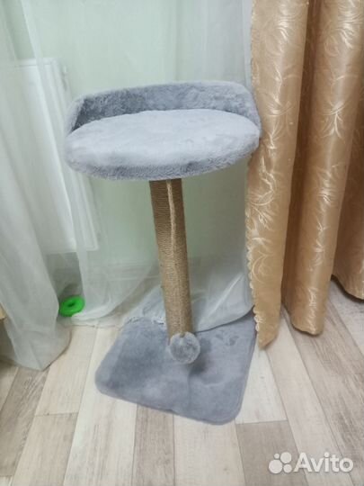 Когтеточка