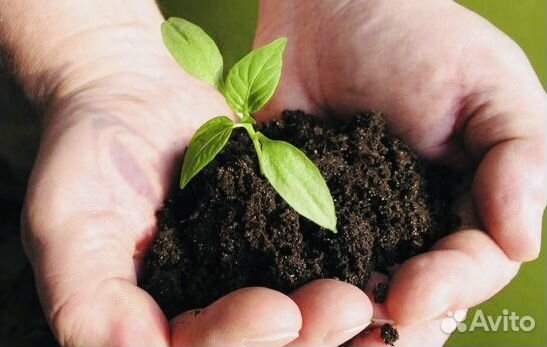 Чернозём Рязанский Земля плодородная e32