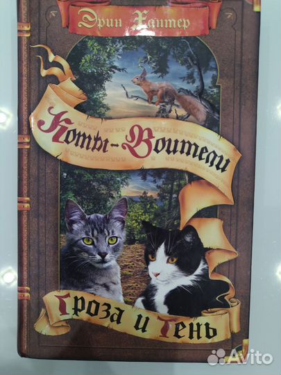 Коты воители, гроза и тень