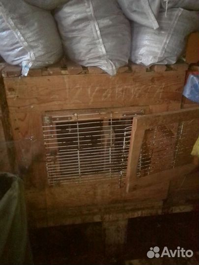 Клетки для кроликов или иной живности