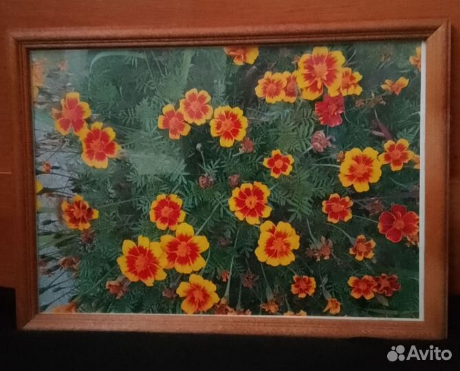 Фотокартины в рамке