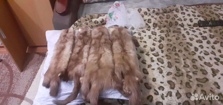 Шкурка куницы