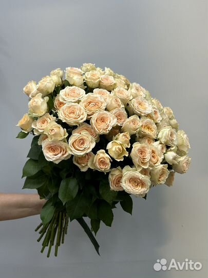 Кустовые розы