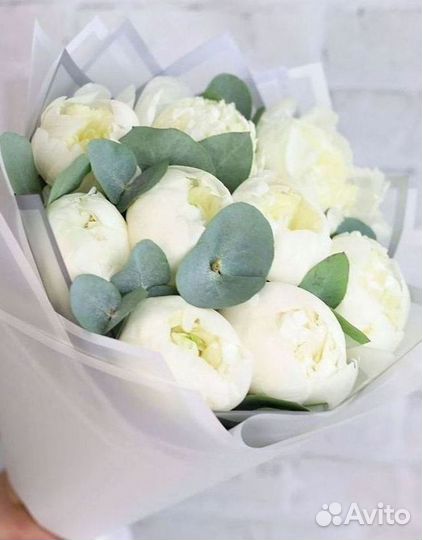 Пионы Цветы Доставка