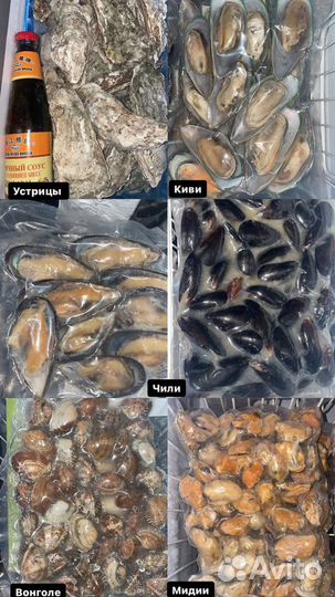 Устрица «Императорская» Д.Восток