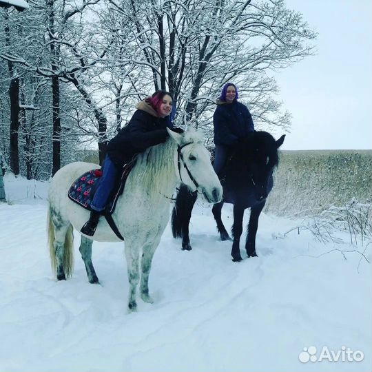 Прогулка верхом по парку
