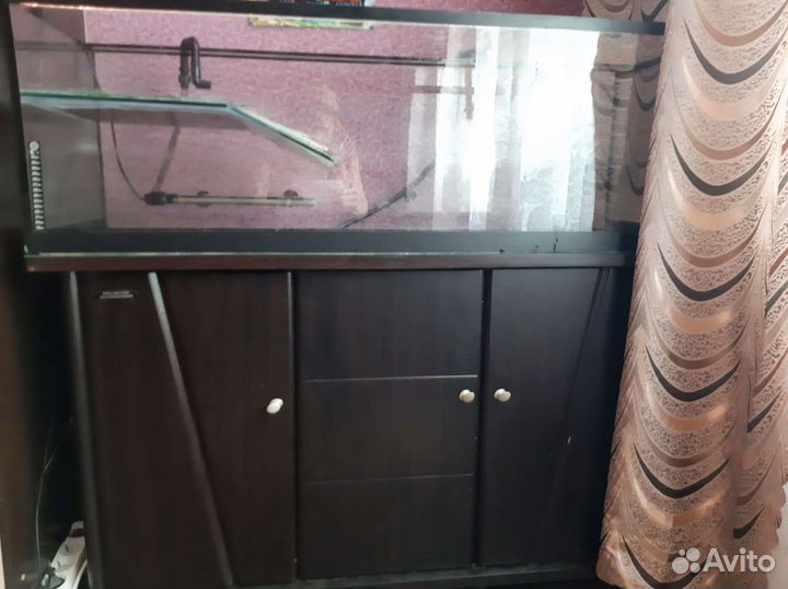 Аквариум,террариум