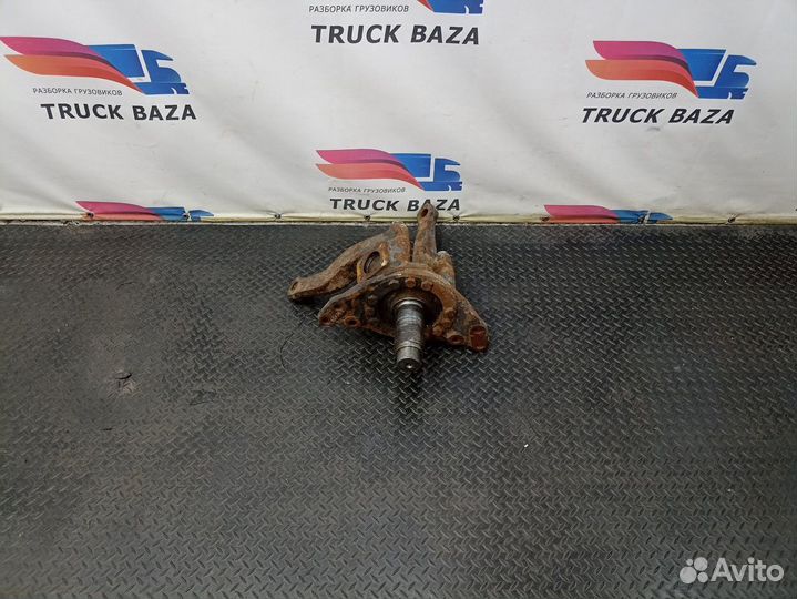 Кулак поворотный левый Iveco Stralis