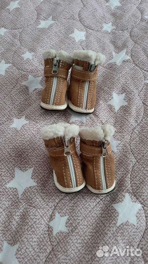 Обувь для собак