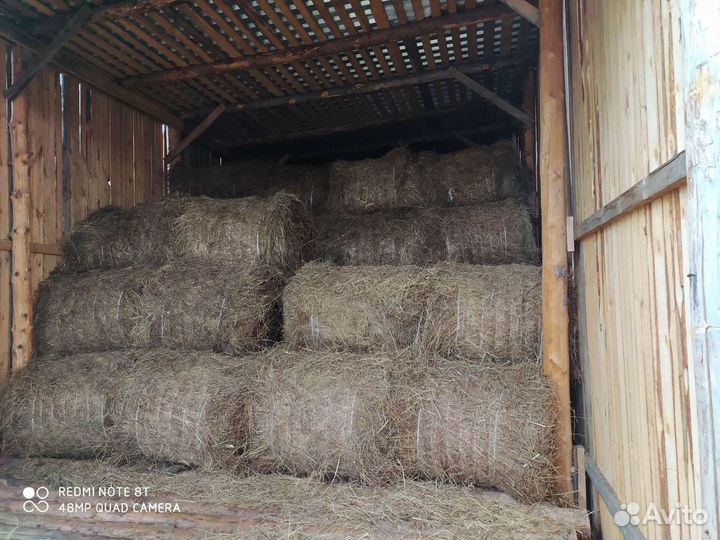 Сено в рулонах