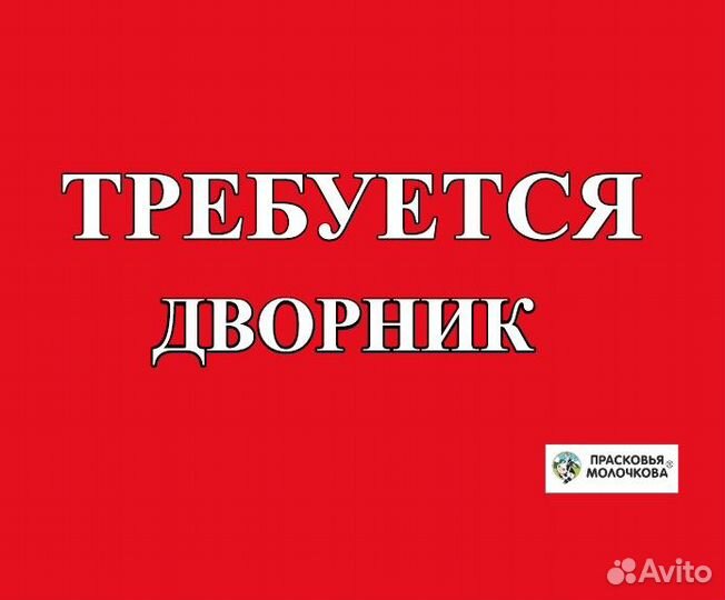 Дворник на неполный день